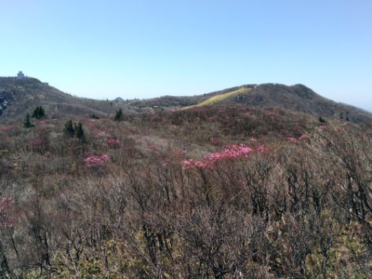 画像39